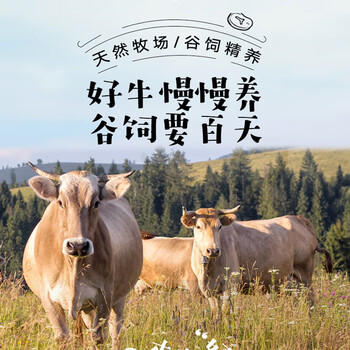 1号会员店国产炖牛肉 谷饲原切 肥瘦相间 炖煮食材 牛腩生鲜 2斤 /生鲜 /猪牛羊肉 /牛肉 商品图1