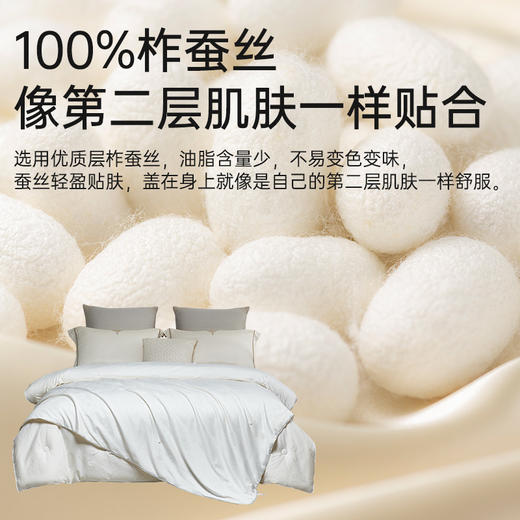 大豆蚕丝大提花子母被 商品图3