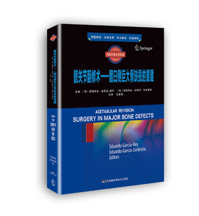 髋关节翻修术—髋臼侧巨大骨缺损的重建  主译 毛新展  湖南科技出版