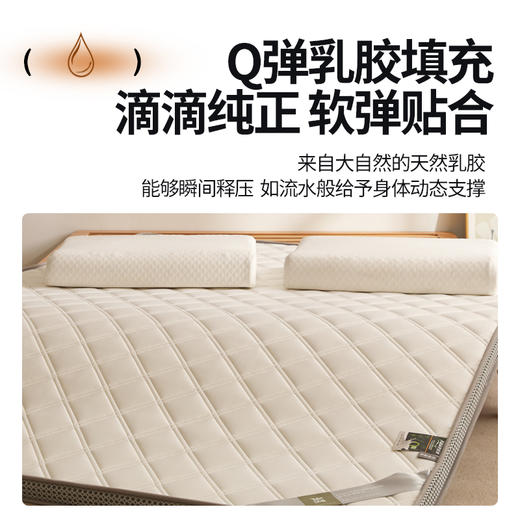 自然醒提花双层纱乳胶立体床垫学生宿舍专用加厚棉花褥子单人薄款可折叠榻榻米睡垫LN 商品图8