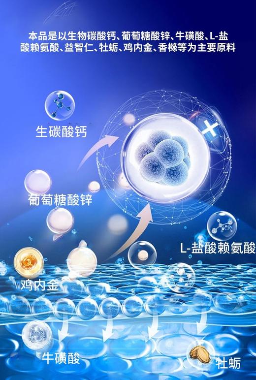 蓝帽  木盒天天长佳尔利片（0.85g/片x60片/瓶x2瓶） 有效期20280301 商品图11