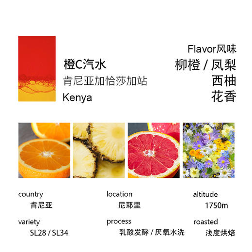 橙C汽水风味拼配 肯尼亚乳酸发酵&厌氧水洗 一豆两用咖啡豆 商品图1