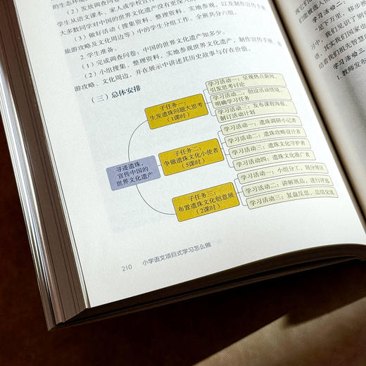 小学语文项目式学习怎么做 大夏书系 语文之道 李怀源 曹佳丽 商品图12