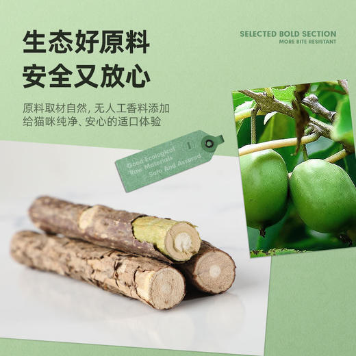 耐威克猫咪磨牙洁齿｜逗猫棒｜啃咬玩具｜木天蓼粗棒 商品图2