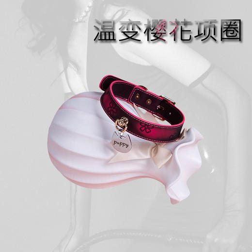 魅灵温变 温变樱花项圈 项圈+牵引 商品图4