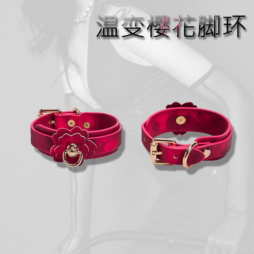 魅灵温变 温变樱花脚环 商品图1