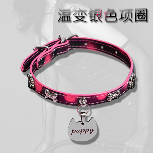 魅灵温变 银色骨头黑变红狗狗牌项圈 项圈+牵引 商品图2