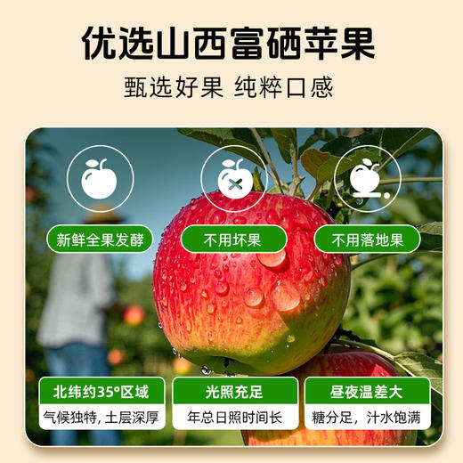 【300积分+99元】草牧里 锡兰肉桂苹果醋 10ml*15/盒 非遗山西老陈醋酿造工艺 商品图2