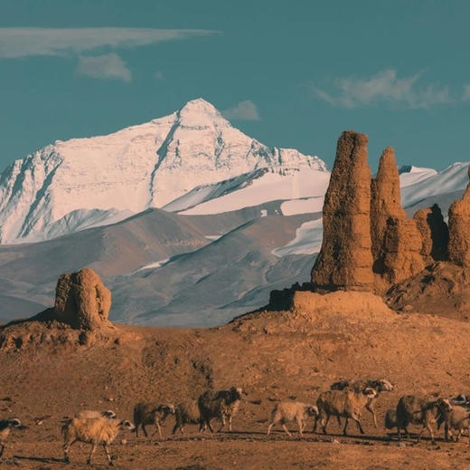 西藏 | 阿里大环线15天14晚，珠峰大本营/8000米雪山巡礼/一措再措/冈仁波齐/古格王朝遗址/班公湖 商品图1