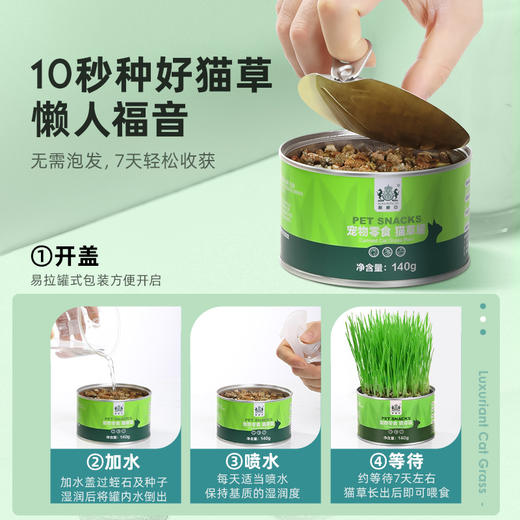 耐威克猫草种子｜水培猫薄荷｜零食罐头｜除毛球｜盆栽已种好 商品图1