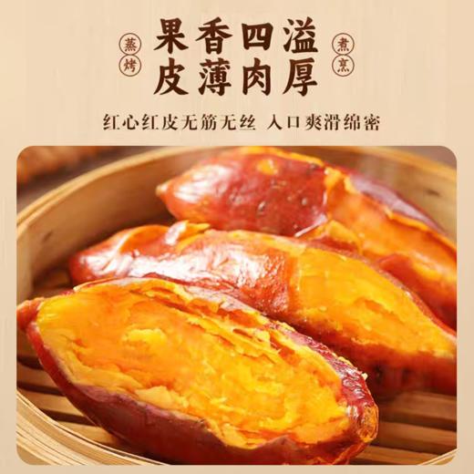 六鳌蜜薯 地标产品 香甜软糯 无筋无丝 3斤装  A-5014 商品图3