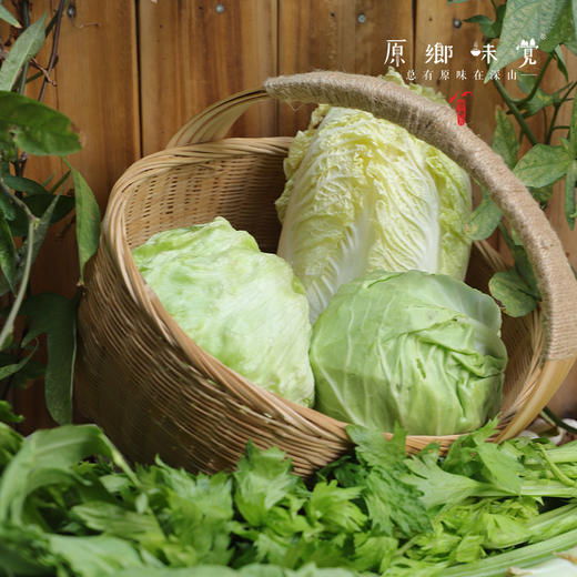 【限时特价！】生态露地蔬菜/洋葱/紫甘蓝/（基地直发-顺丰包邮）|多种蔬菜，来自河北张家口，生产者：李鹏飞【合作生产，公平贸易】 商品图2