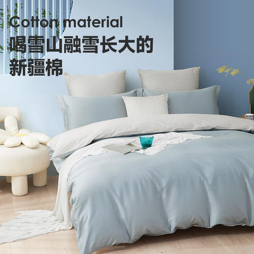 60支全棉素色拆件(恋兰/香槟银) 商品图3