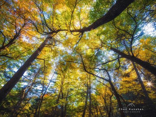 中国北极—东极穿越 | 从最北漠河到最东抚远，大小兴安岭、北大荒、兴凯湖赏秋13天 商品图10