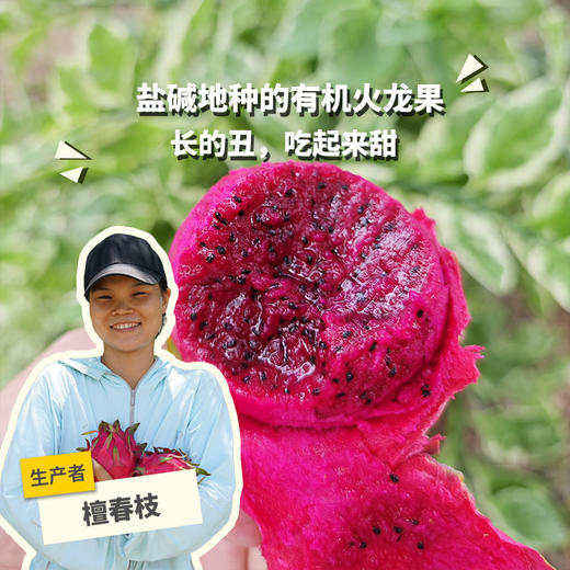 生态花皮火龙果 | 绿家自产 *  Organic saline-alkali land | Self-production 商品图0