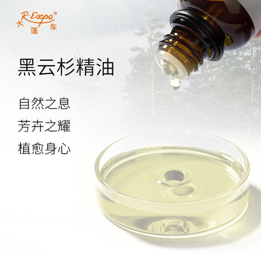 黑云杉精油 阿尔巴尼亚精油原料批发芳疗护理调香香薰 大篷车精油 商品图1