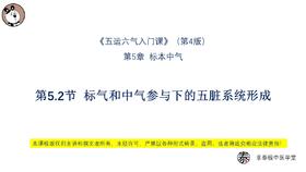 V4第5.2节 标气和中气参与下的五脏系统形成
