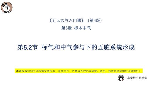V4第5.2节 标气和中气参与下的五脏系统形成 商品图0