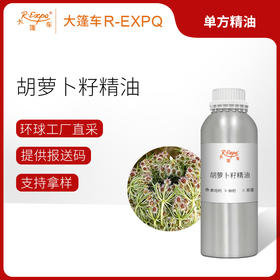 胡萝卜籽精油 Daucus Carota 法国产地直采 芳疗护理 大篷车精油