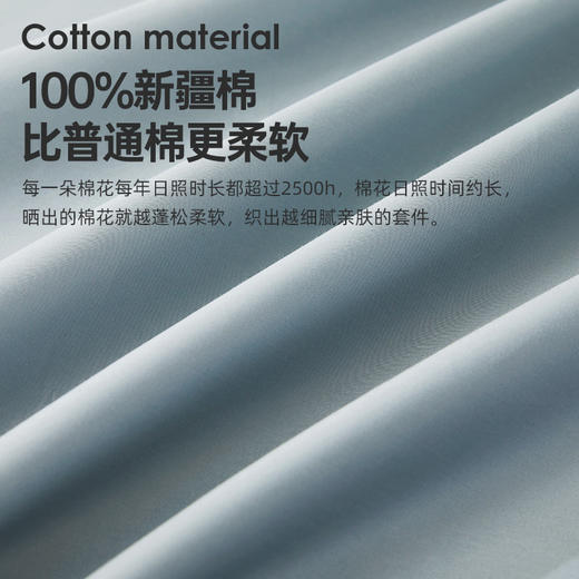 60支全棉素色拆件(恋兰/香槟银) 商品图2