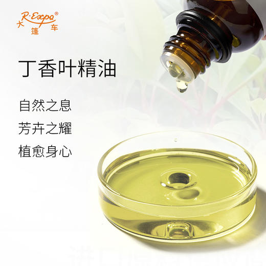 丁香叶精油 马达加斯加精油原料批发 芳疗护理调香香薰大篷车精油 商品图1
