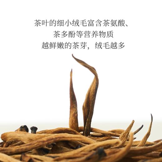 赏丨蜜香金芽 有机红茶 特级 60g（银色罐装/补充装） 商品图1
