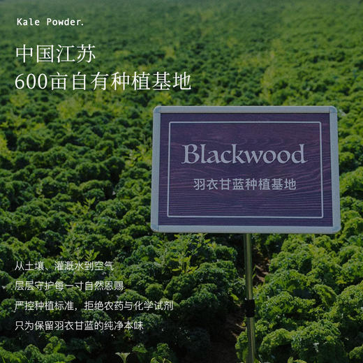 Blackwood羽衣甘蓝粉45g/罐   商品图1
