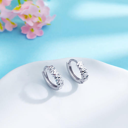 【限时8.8折】【线上铂金馆】PT950 【国际铂金协会】铂金镂空单排仿钻耳饰耳圈(ACPTES00001)预售产品下单后不退款不退货不换货不补差价) 商品图0