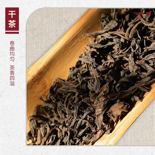 【山纯限品】2025年021水帘洞牛角洞肉桂17g 商品图2