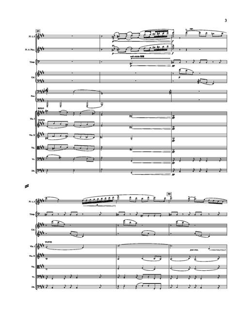 交响曲《百年颂》总谱（2025定稿版） 扫码赠送音频 龚天鹏作品61号 上海爱乐乐团委约作品 商品图4