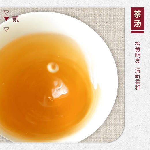 【山纯限品】2025年单丛系列011柚花香25g 商品图3