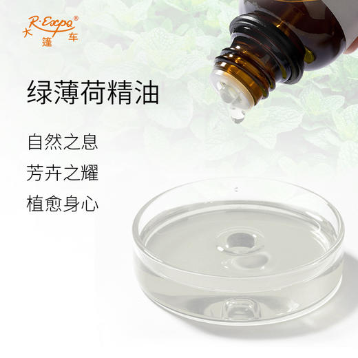 绿薄荷精油/留兰香 法国精油原料批发 芳疗护理调香香薰大篷车精油 商品图1