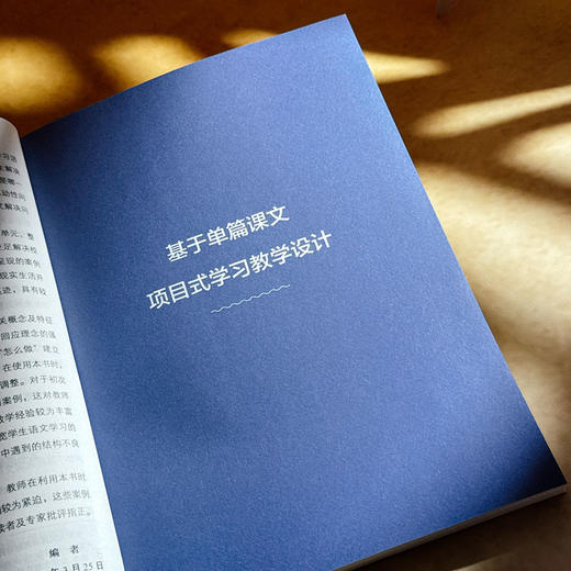 小学语文项目式学习怎么做 大夏书系 语文之道 李怀源 曹佳丽 商品图8