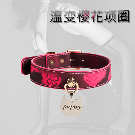 魅灵温变 温变樱花项圈 项圈+牵引 商品图2