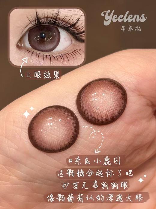 『店主实拍』 YEELENS-奈良小鹿园/凌晨富士山/浅草寺甜妹-14.5mm【半年抛0-800度 无525/575】 商品图1