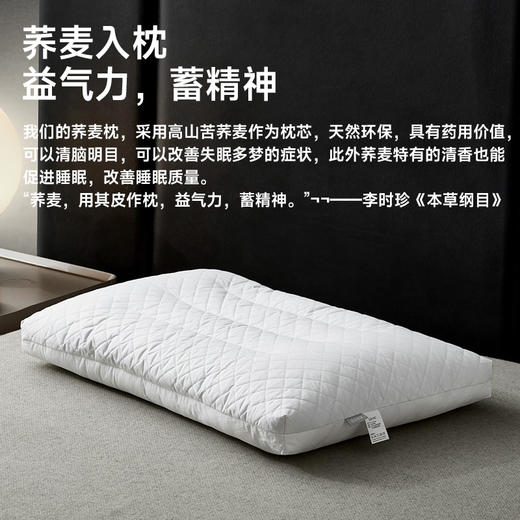 高山苦荞软硬双用枕 商品图2