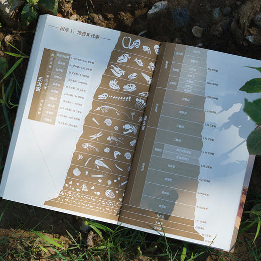 《地球探索史话》领略鲜活的“人类生存指南” 地质地球 科普-分销 商品图3