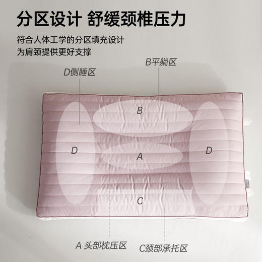 竹纤维决明子健康枕 商品图4