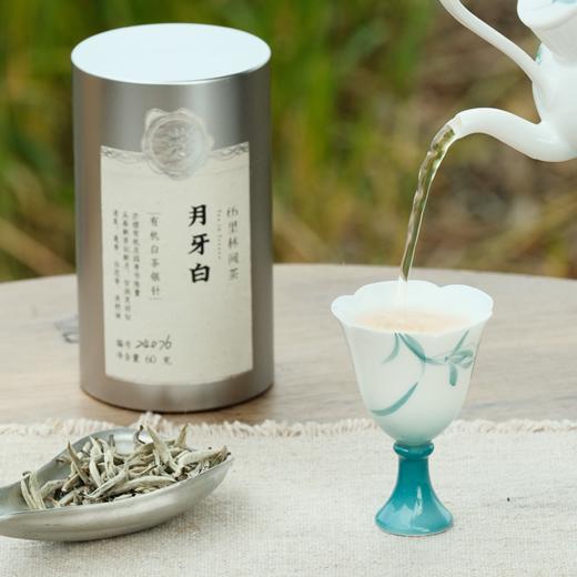 赏丨2024年月牙白 有机白茶 特级 60g（银色罐装/补充装） 商品图5