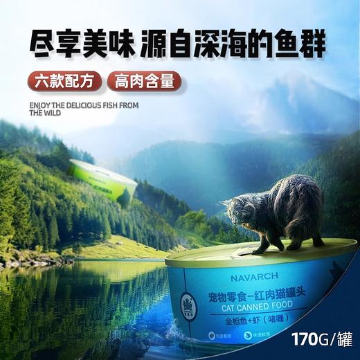 耐威克猫咪零食｜鸡肉猫罐头｜增肥零食｜无谷物｜真材实料｜美毛亮眼 商品图3