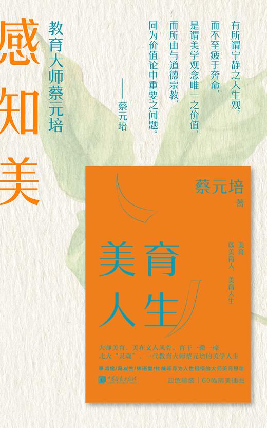 美学大师系列图书艺术鉴赏经典收藏提升审美力 商品图10