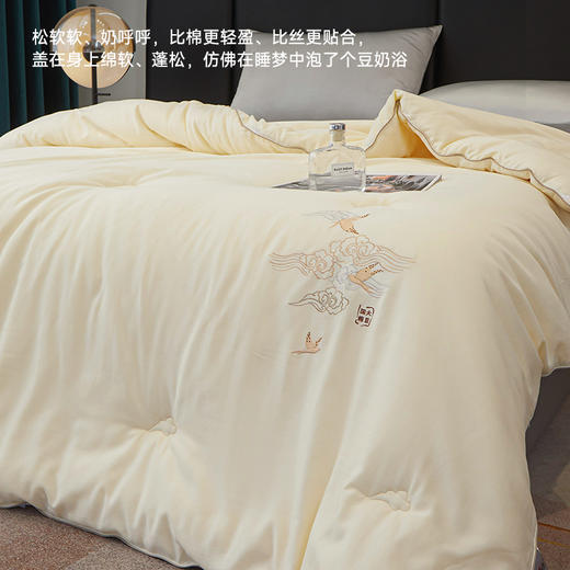 60支天丝棉50大豆纤维春秋被 商品图3