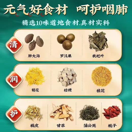 养生茶 北京同仁堂胖大海罗汉果蒲公英茶咳嗽痰多养生花草茶 商品图3