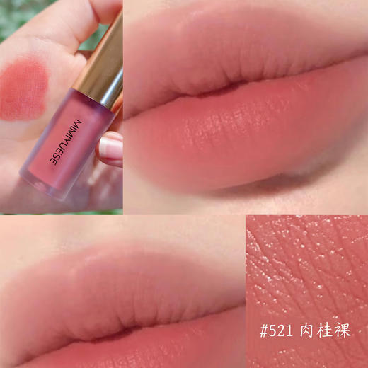 新品上市🎊秘密悦色 摩洛哥坚果籽油唇釉 4.5g 商品图6