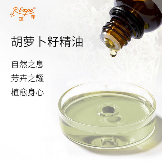 胡萝卜籽精油 Daucus Carota 法国产地直采 芳疗护理 大篷车精油 商品图1