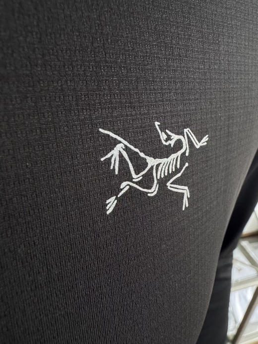 原单正品Arcteryx 始祖鸟 Cormac 系列 纯色极简风反光Logo速干长袖
黑色 尺码：S-XXL，支持鉴定 商品图5