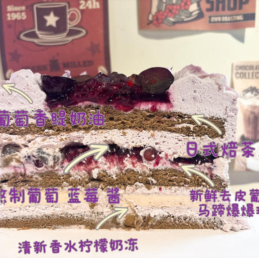 冰爆葡萄柠-4寸 商品图3