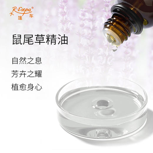 鼠尾草精油 奥地利单方精油原料批发芳疗护理香氛调香 大篷车精油 商品图1