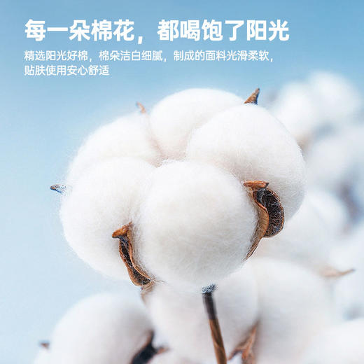 可水洗超柔抗菌舒坦枕 商品图6