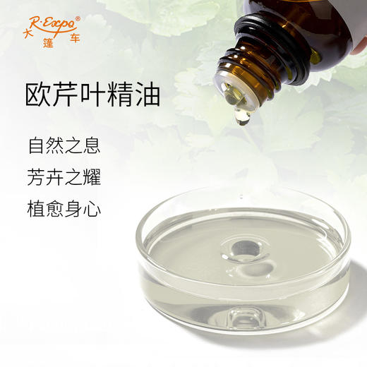 欧芹叶精油 奥地利单方精油原料批发芳疗护理调香香薰 大篷车精油 商品图1